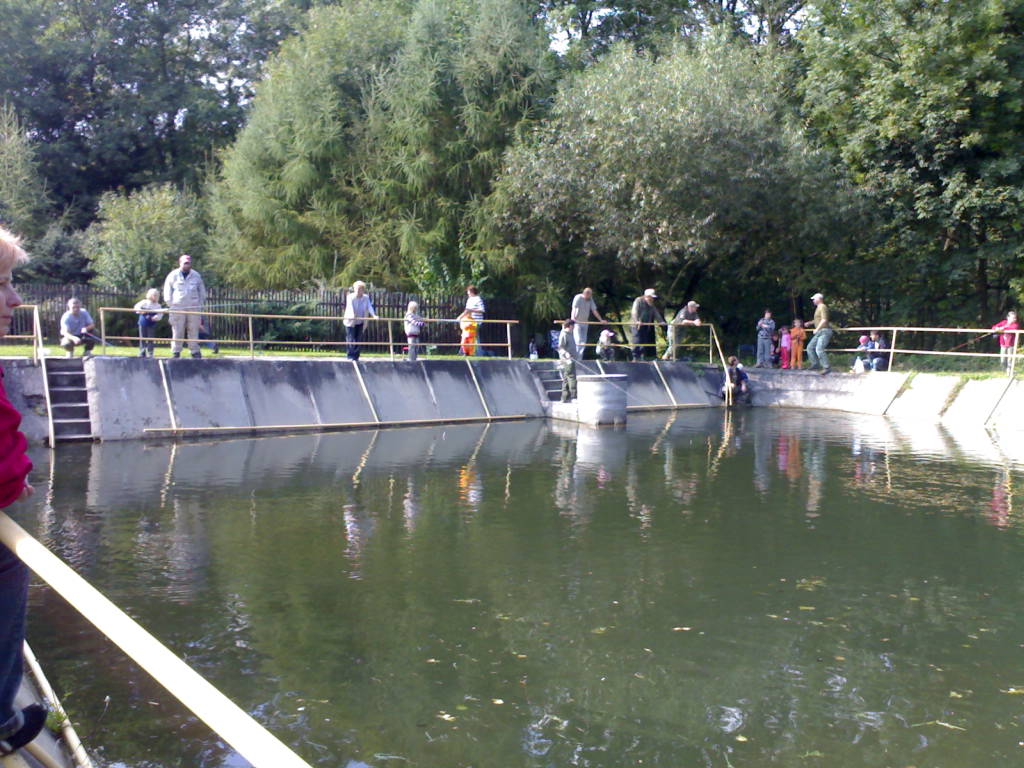 závod